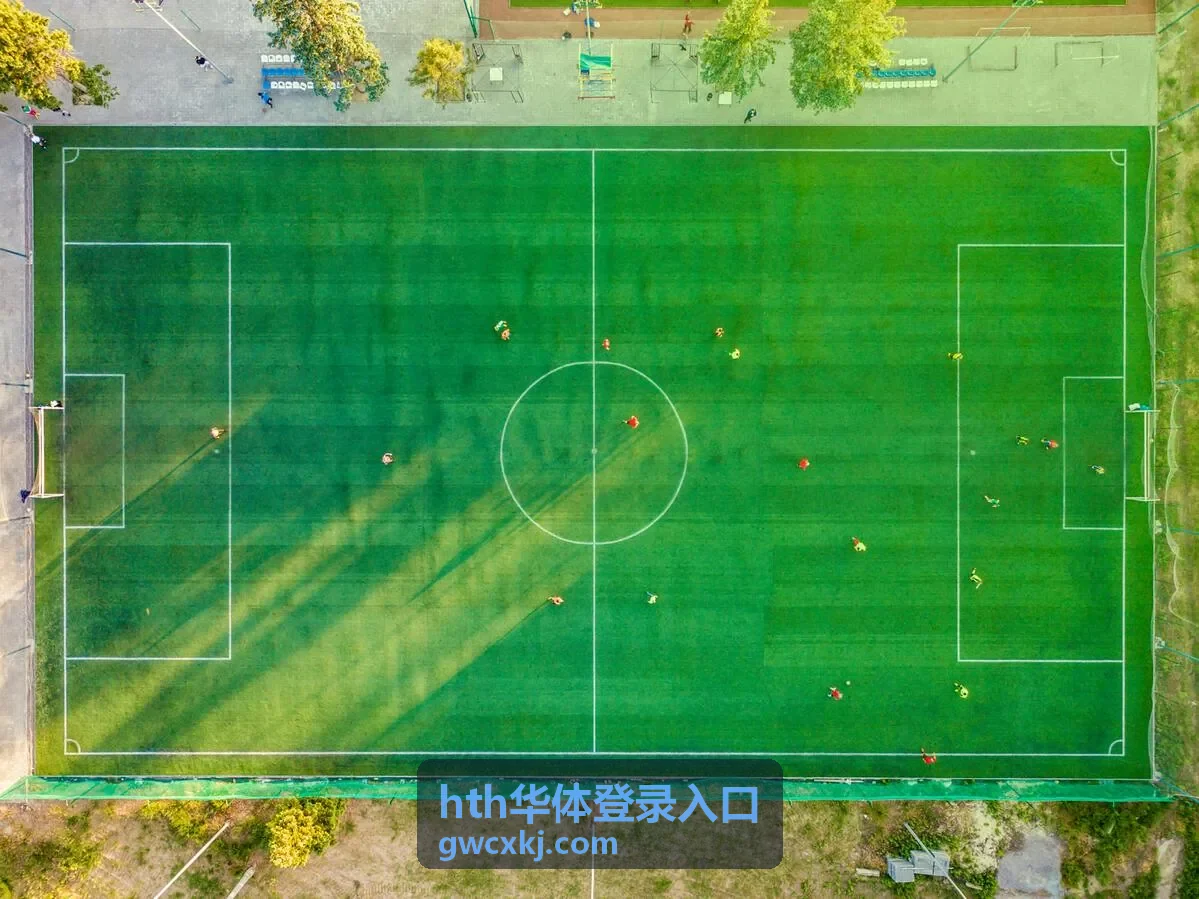 hth华体登录入口 信息列表配图